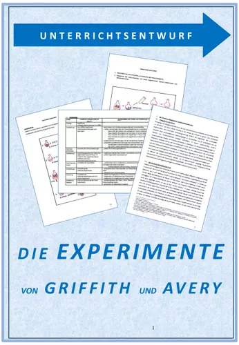 Biologie Griffith und Avery Experiment - Unterrichtsentwurf