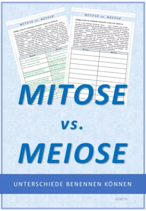 Biologie Mitose vs Meiose